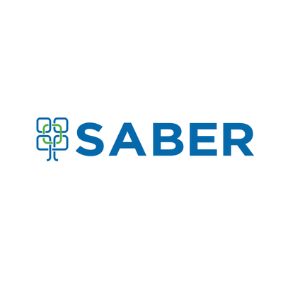 Professional Services Saber logo